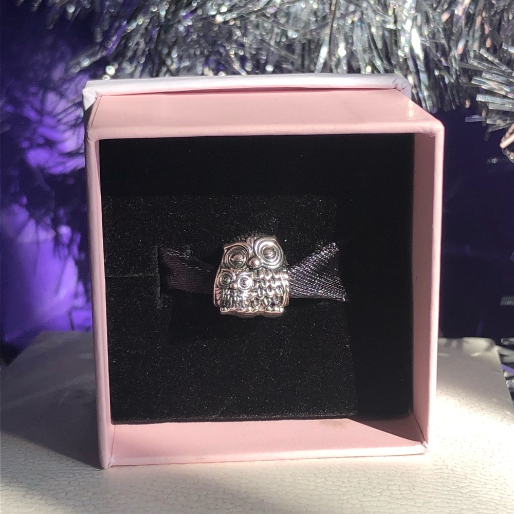 Sterling Silver mom & baby owl. Fits Pandora Moment Bracelets.